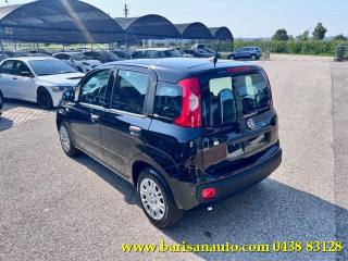 FIAT Panda usata, con Alzacristalli elettrici