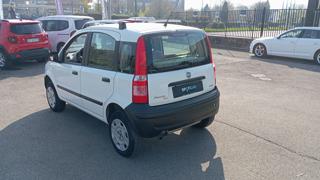 FIAT Panda usata 14
