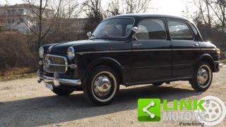 FIAT 1100 usata 46