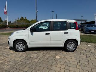 FIAT Panda usata, con Airbag