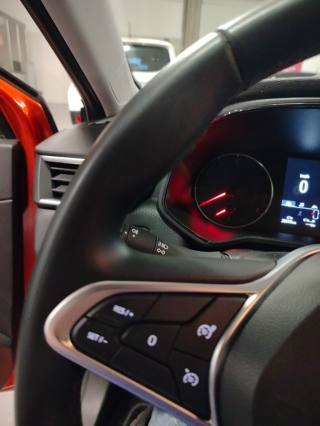 RENAULT Clio usata 22