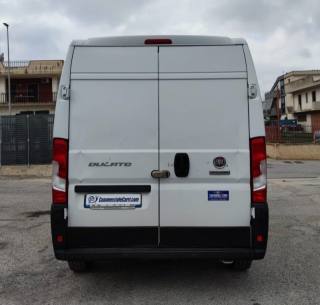 FIAT  usata 3
