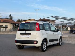 FIAT Panda usata, con USB