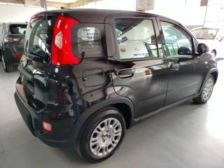 FIAT Panda usata, con ESP