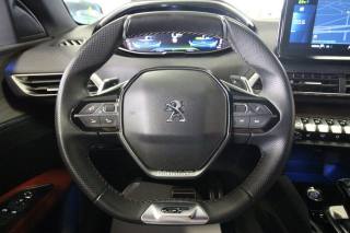 PEUGEOT 3008 usata, con Cronologia tagliandi