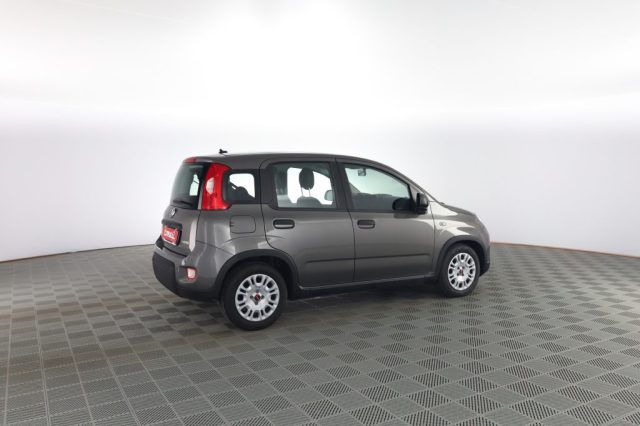 FIAT Panda usata 2