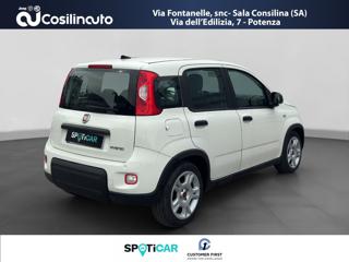 FIAT Panda usata, con Alzacristalli elettrici