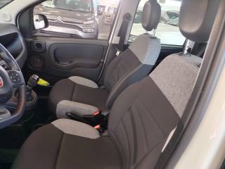 FIAT Panda usata 21