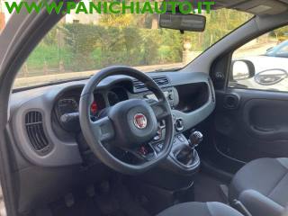 FIAT Panda usata, con Airbag testa
