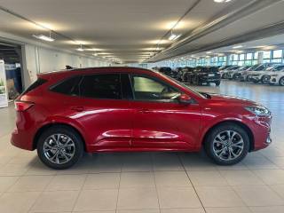 FORD Kuga usata, con Controllo trazione