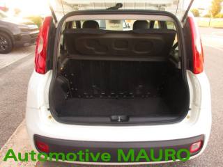 FIAT Panda usata 16
