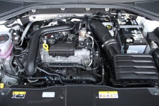 VOLKSWAGEN T-Roc usata, con Cruise Control