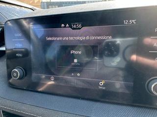 SKODA Fabia usata 75
