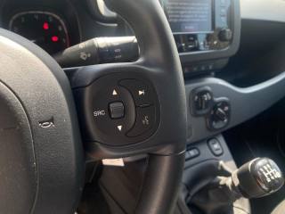 FIAT Panda usata 12