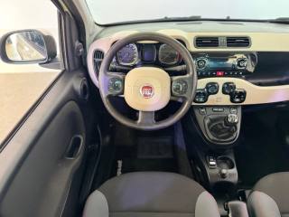 FIAT Panda usata 6