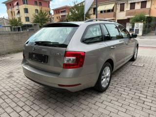 SKODA Octavia usata 4