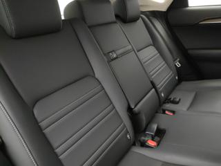 LEXUS NX 300h usata, con Volante in pelle