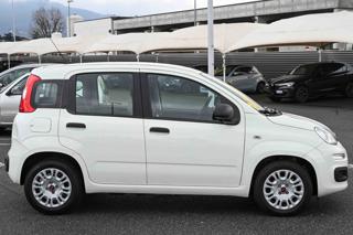 FIAT Panda usata, con Alzacristalli elettrici