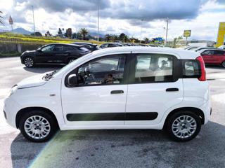 FIAT Panda usata, con Alzacristalli elettrici