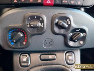 FIAT Panda usata 13
