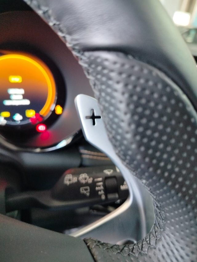 ALFA ROMEO Tonale usata 27