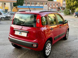 FIAT Panda usata, con Climatizzatore