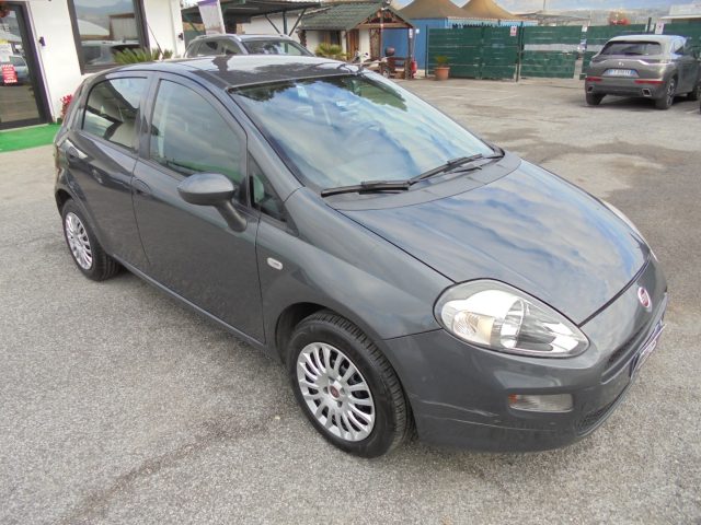FIAT Punto usata 16
