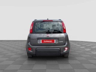 FIAT Panda usata 3