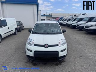 FIAT Panda usata, con Airbag