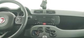 FIAT Panda usata 37