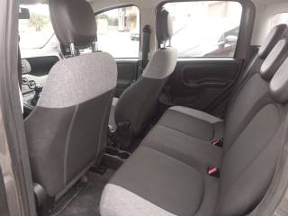 FIAT Panda usata, con Airbag testa