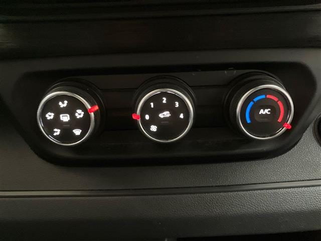 RENAULT Trafic usata 18