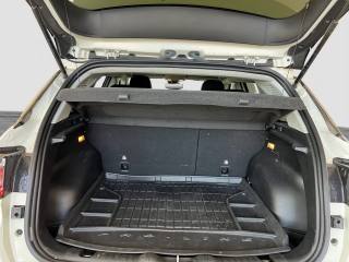 JEEP Compass usata 14