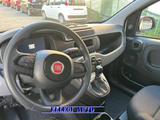 FIAT Panda usata, con Climatizzatore