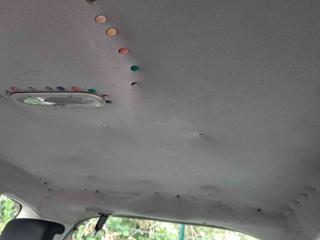 RENAULT Scenic usata 29