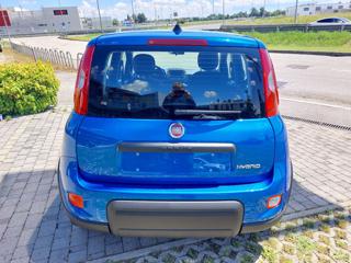 FIAT Panda usata, con Climatizzatore