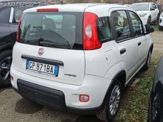 FIAT Panda usata, con Antifurto