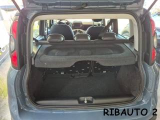FIAT Panda Cross usata, con Controllo trazione