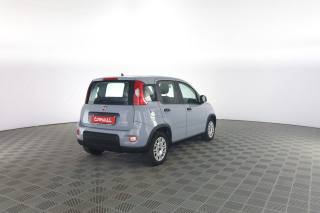 FIAT Panda usata 3