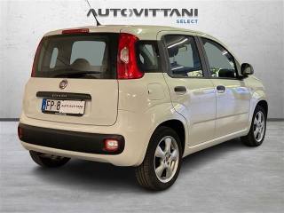 FIAT Panda usata 2