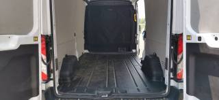 FORD Transit usata, con Fendinebbia