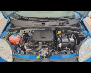 FIAT New Panda usata 24