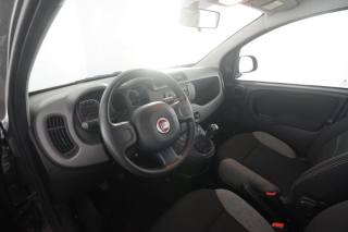 FIAT Panda usata 7