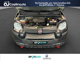 FIAT Panda Cross usata, con Touch screen