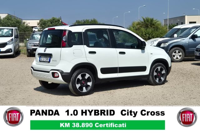 FIAT Panda Cross usata, con Airbag Passeggero