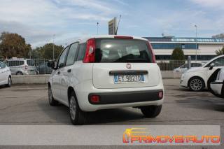 FIAT New Panda usata 12