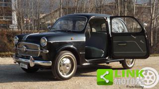 FIAT 1100 usata 26