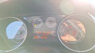 FIAT Punto usata 19