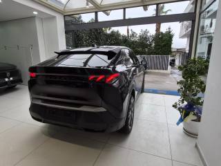 PEUGEOT 3008 usata, con Cronologia tagliandi