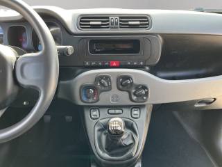 FIAT Panda usata 12